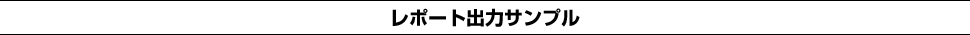 レポート出力サンプル